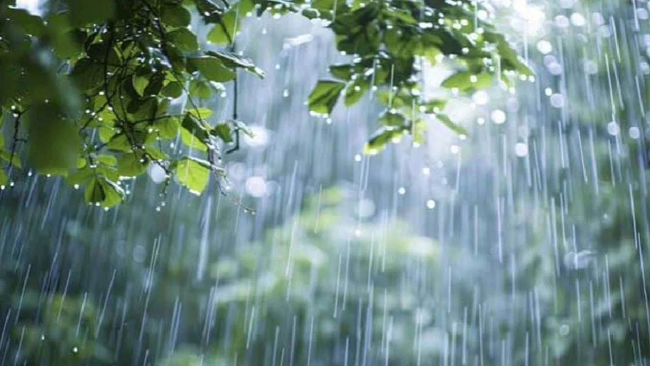 কমতে পারে ঢাকার তাপমাত্রা, হালকা বৃষ্টির আভাস