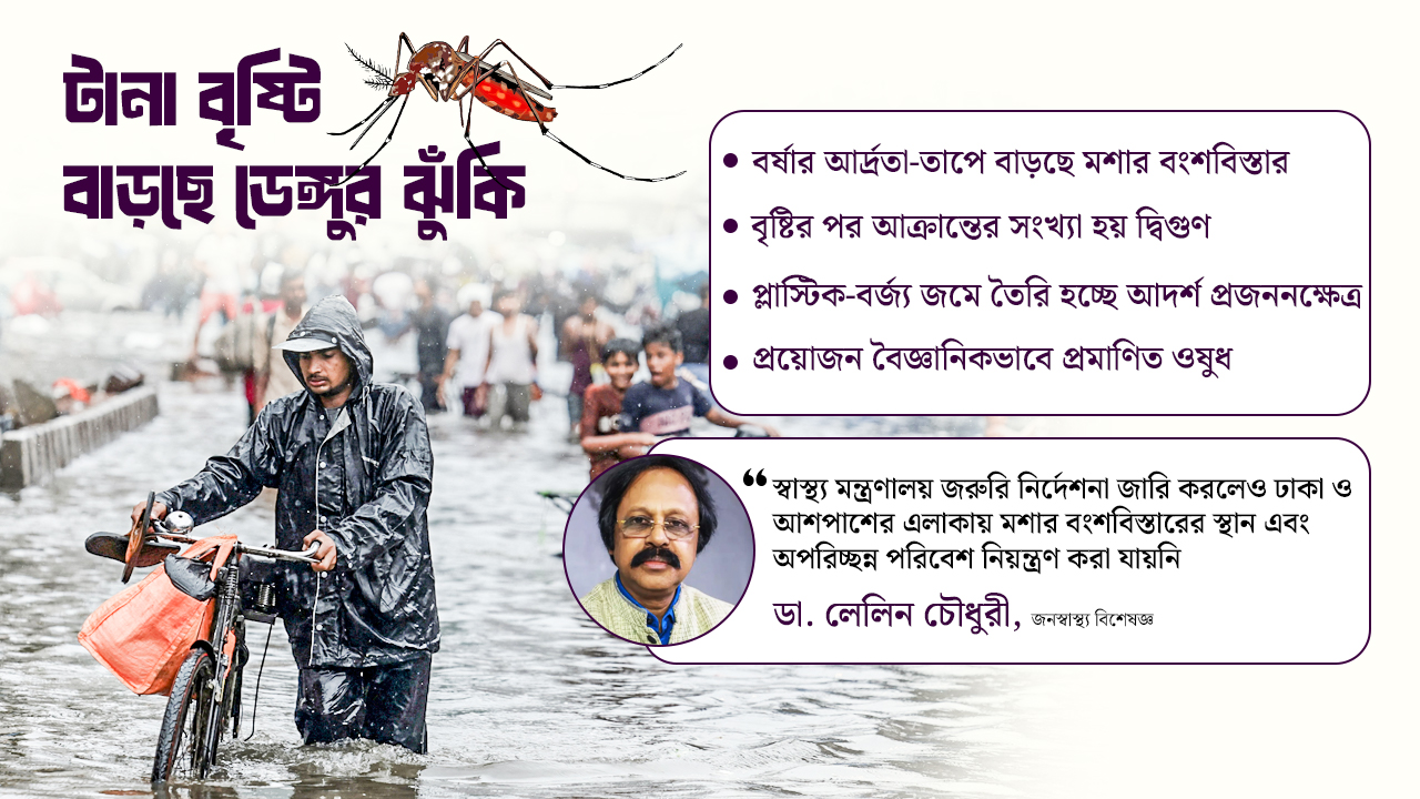 বৃষ্টিতে বাড়ছে ডেঙ্গুর ঝুঁকি, সমাধান কোথায়?