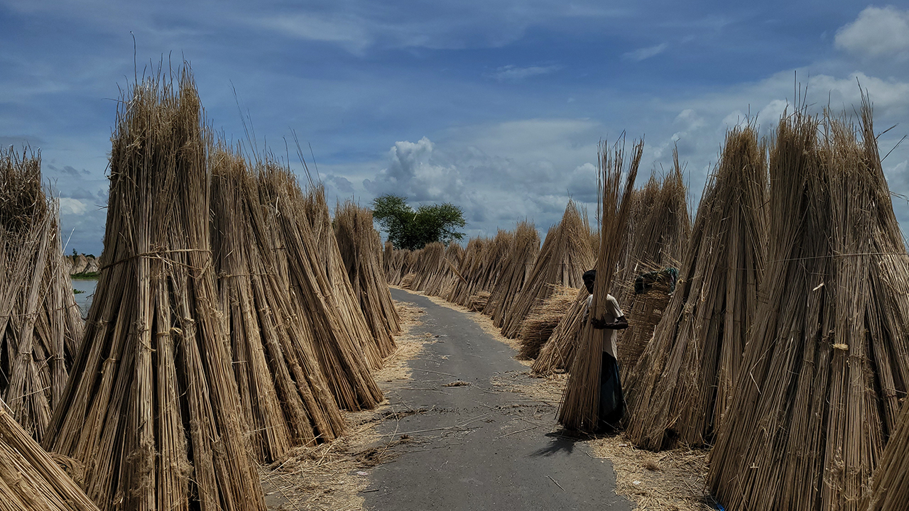 রাস্তার দুপাশে রাখা পাটকাঠির কারণে ঘটছে দুর্ঘটনা