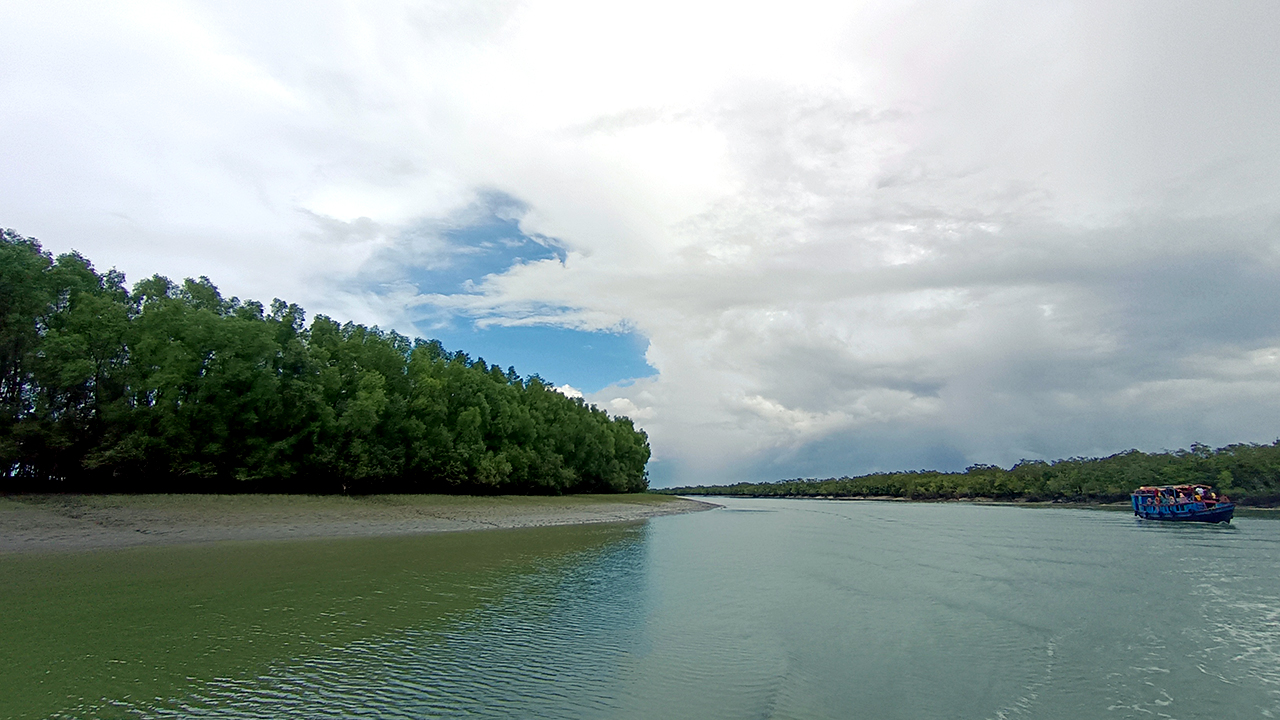 সুন্দরবনের অভয়ারণ্য থেকে ৪ জেলে আটক