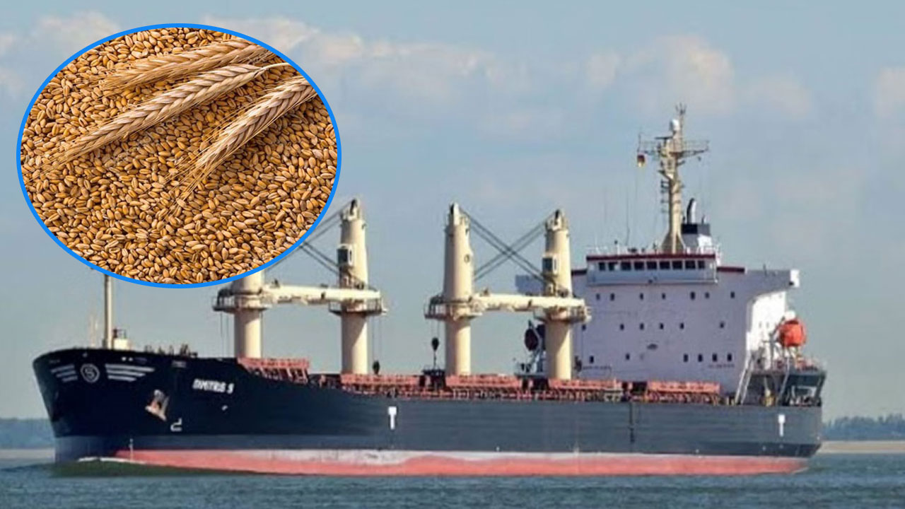 রাশিয়া থেকে এলো সাড়ে ৫২ হাজার টন গম