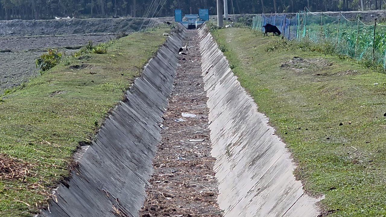 হাজার কোটি টাকা খরচে সেচ ক্যানেল, তবুও পানি পাচ্ছে না কৃষক