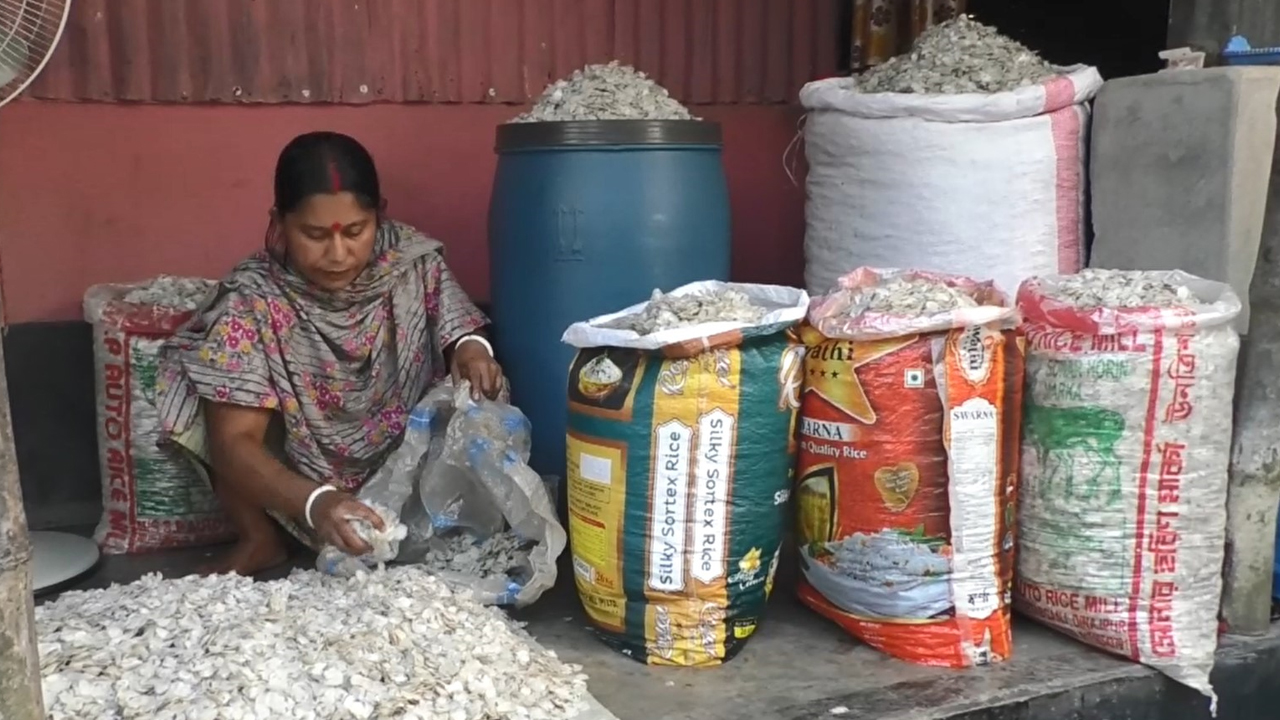 ফেলে দেওয়া মাছের আঁশে বৈদেশিক মুদ্রা আয়