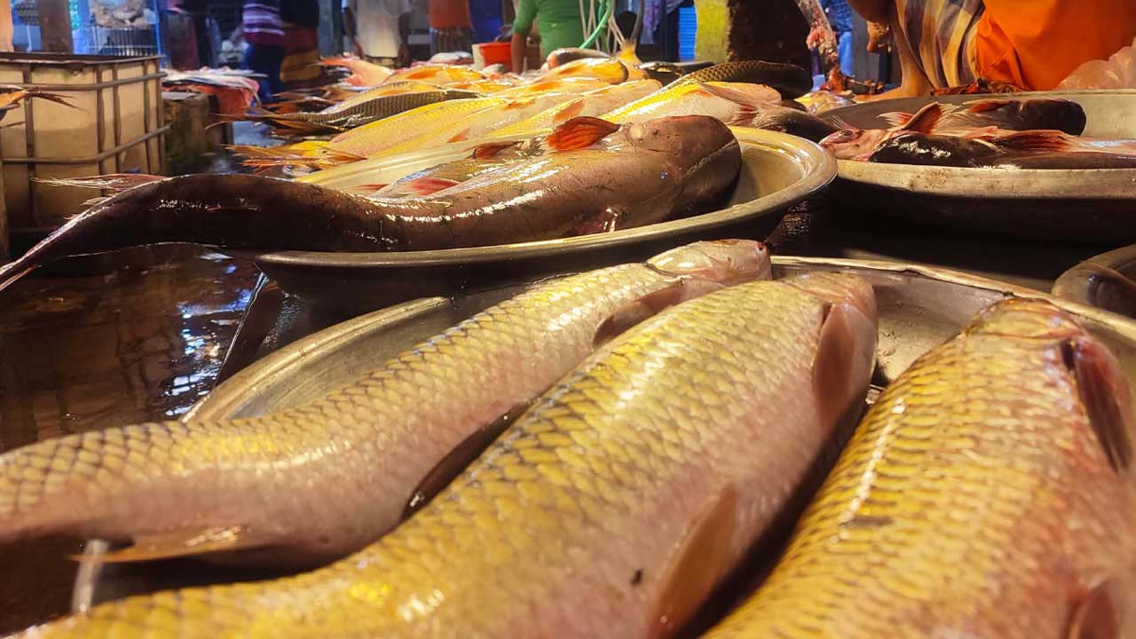 ব্রয়লারে স্বস্তি, মাছে ঊর্ধ্বগতি