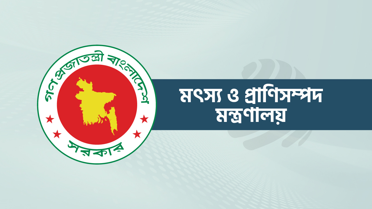কাউকে ইলিশ চাষের অনুমতি দেওয়া হয়নি : প্রাণিসম্পদ মন্ত্রণালয়