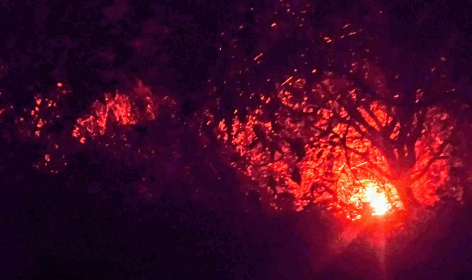 টেকনাফে সমুদ্র তীরবর্তী পাহাড়ে আগুন, ৪ ঘণ্টা পর নিয়ন্ত্রণে