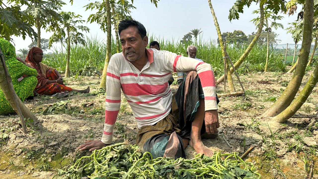 রাতের আঁধারে ভূমিহীন কৃষকের আড়াই বিঘা শসাক্ষেত কেটে নষ্ট করল দুর্বৃত্তরা
