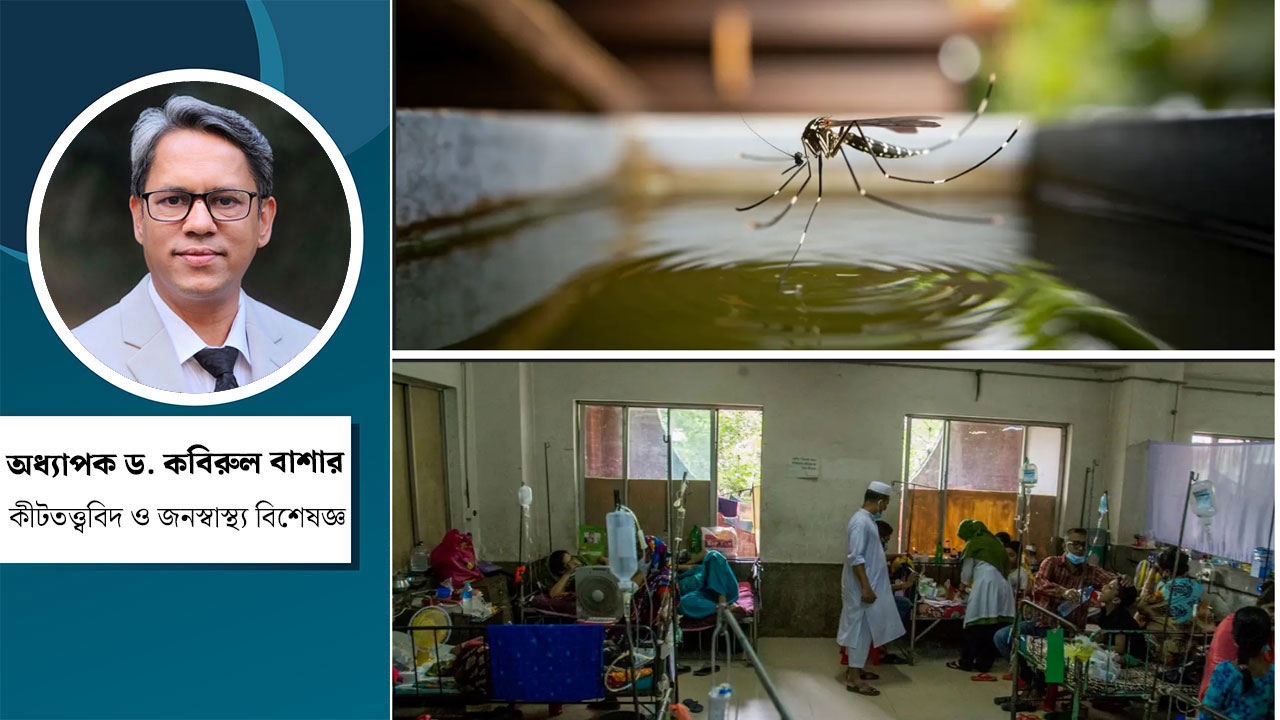 নির্বাচিত সরকার কি ডেঙ্গু নিয়ন্ত্রণে আনতে পারবে?