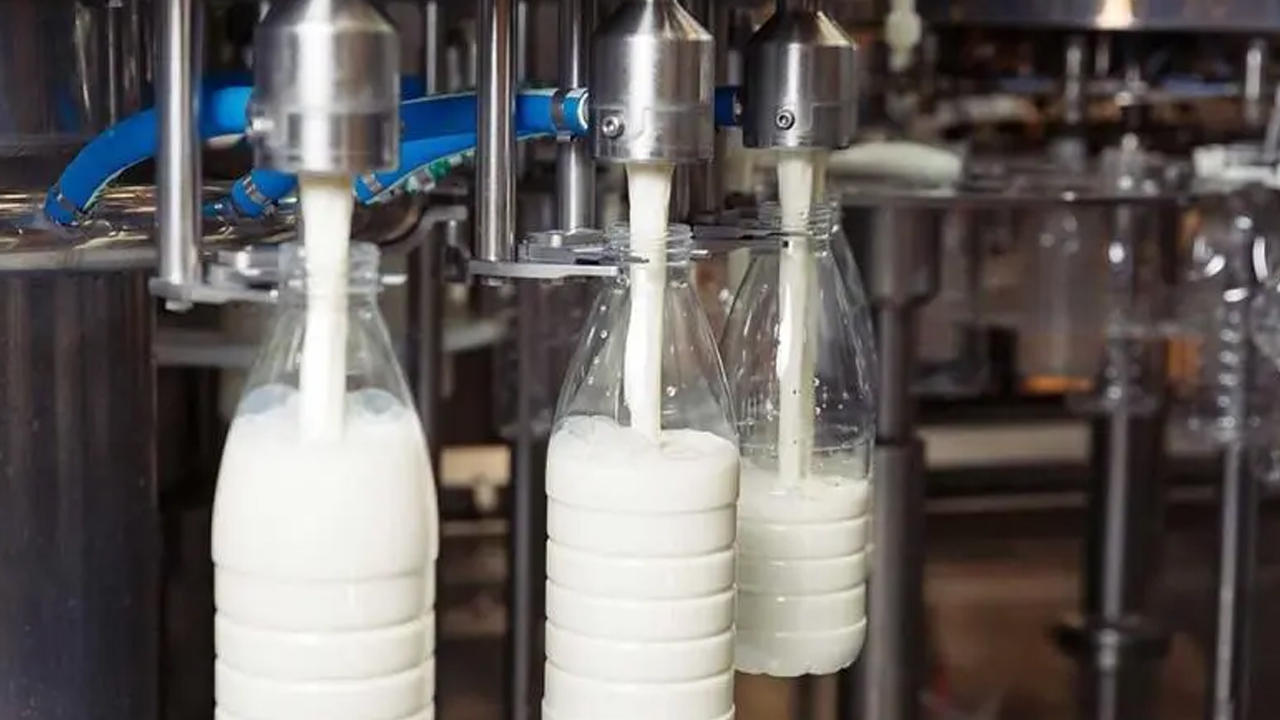 প্যাকেটজাত দুধে ইউরিয়া ও ডিটারজেন্টের বিষ : চেনার উপায় কী?