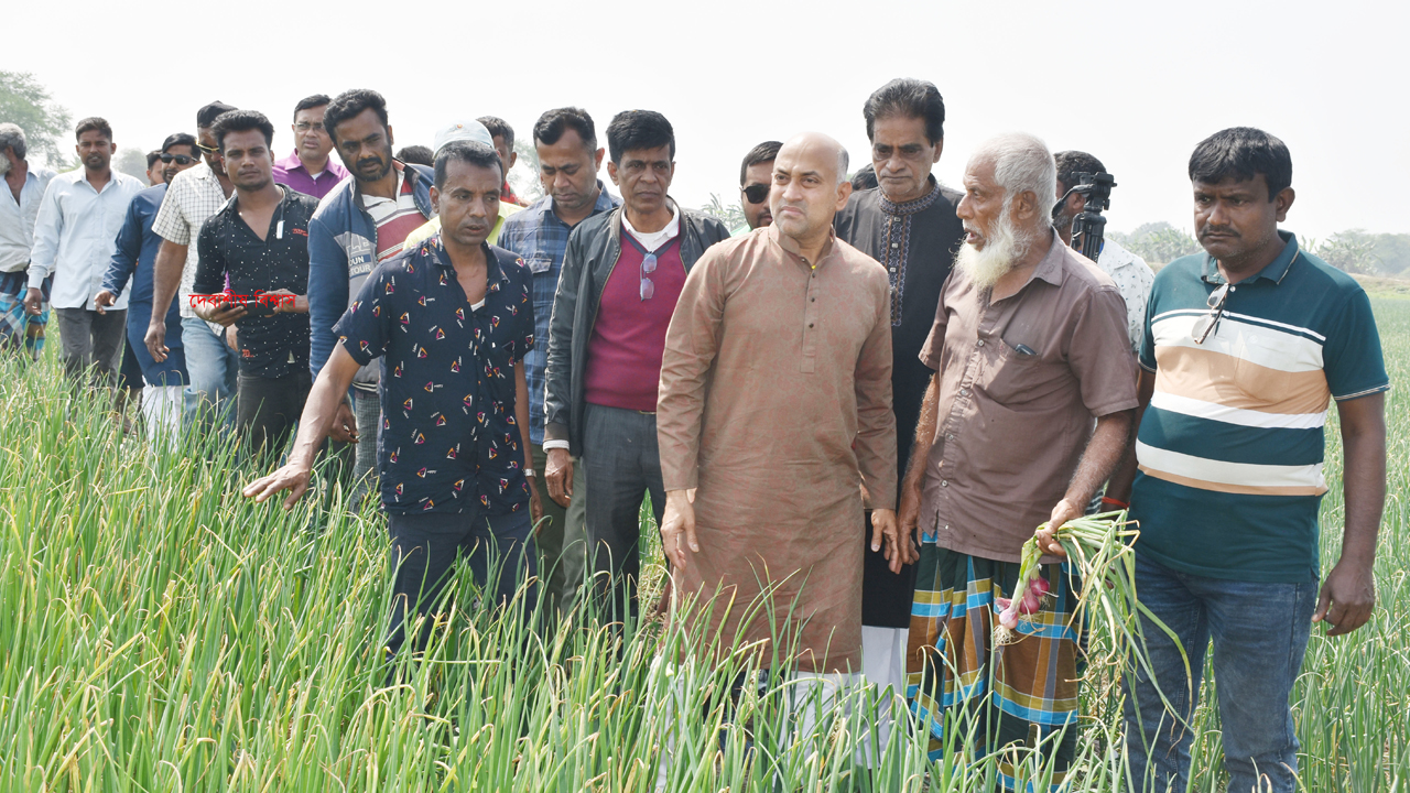 রাজবাড়ীতে ঘাস মারার বিষে ২৫ একর জমির পেঁয়াজ ক্ষেত নষ্টের অভিযোগ