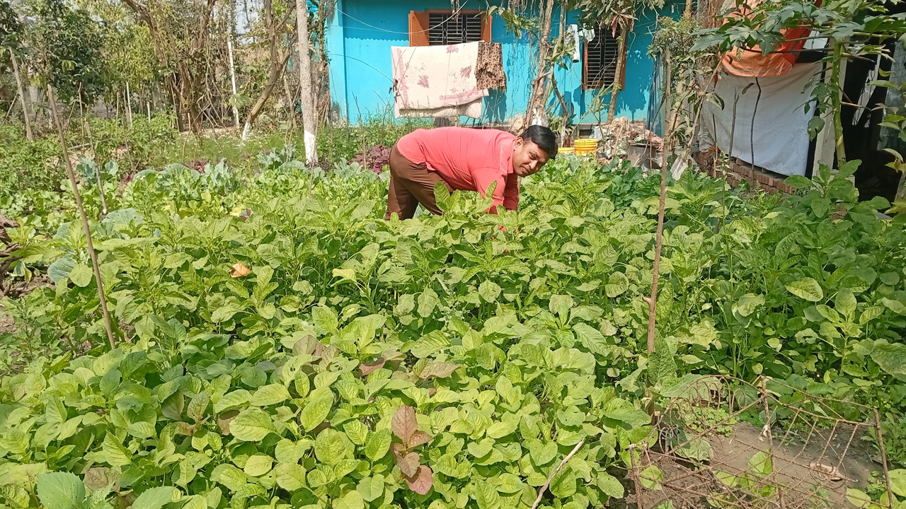 আঙিনায় স্বপ্নের বাগান, ২৬ বছর বাজারমুখী নন পল্লব