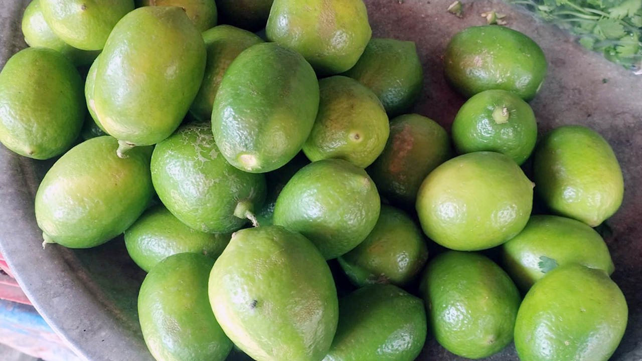 রোজার আগেই রাজবাড়ীতে লেবুর দামে আগুন