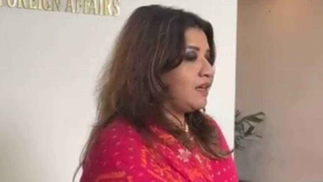 ভিসা জটিলতা নিরসনে সরকার কাজ করছে : পররাষ্ট্র প্রতিমন্ত্রী