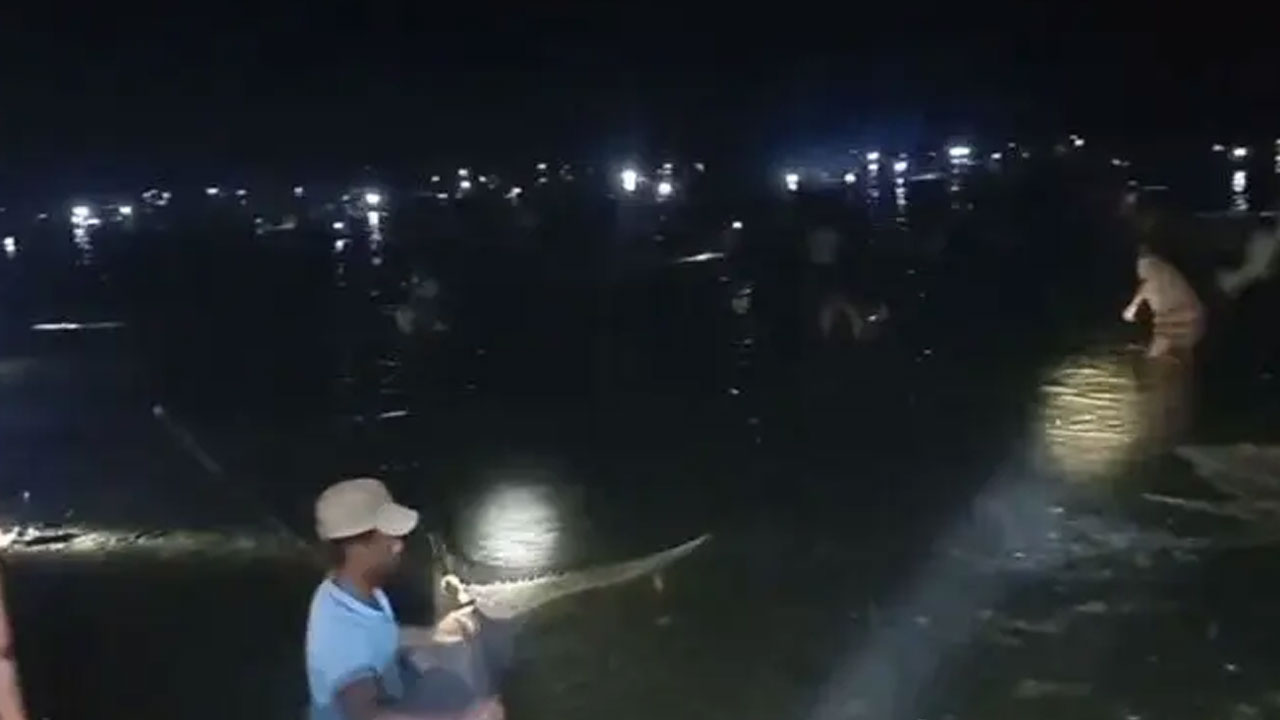 ৮ গ্রামের মানুষ মিলে জলমহালের অর্ধকোটি টাকার মাছ লুটপাট