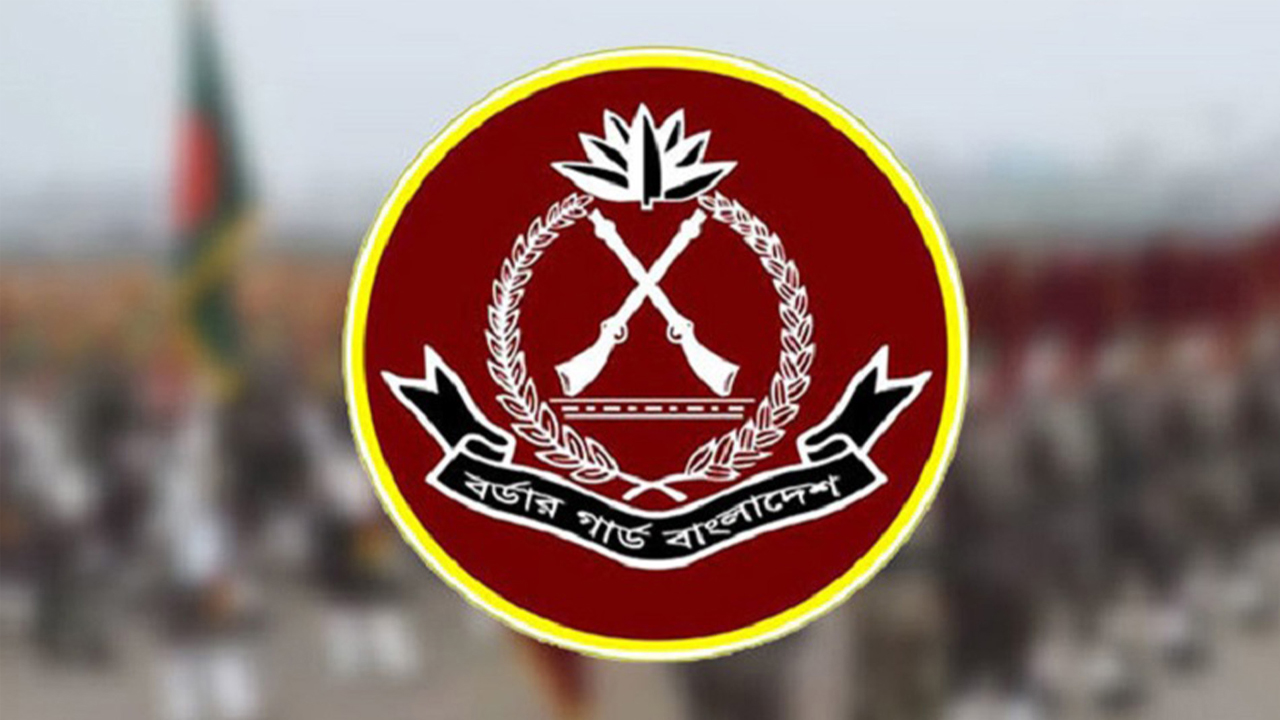 ২০২৫ সালে বিজিবির অভিযানে ১৯০৮ কোটি টাকার চোরাচালান পণ্য জব্দ