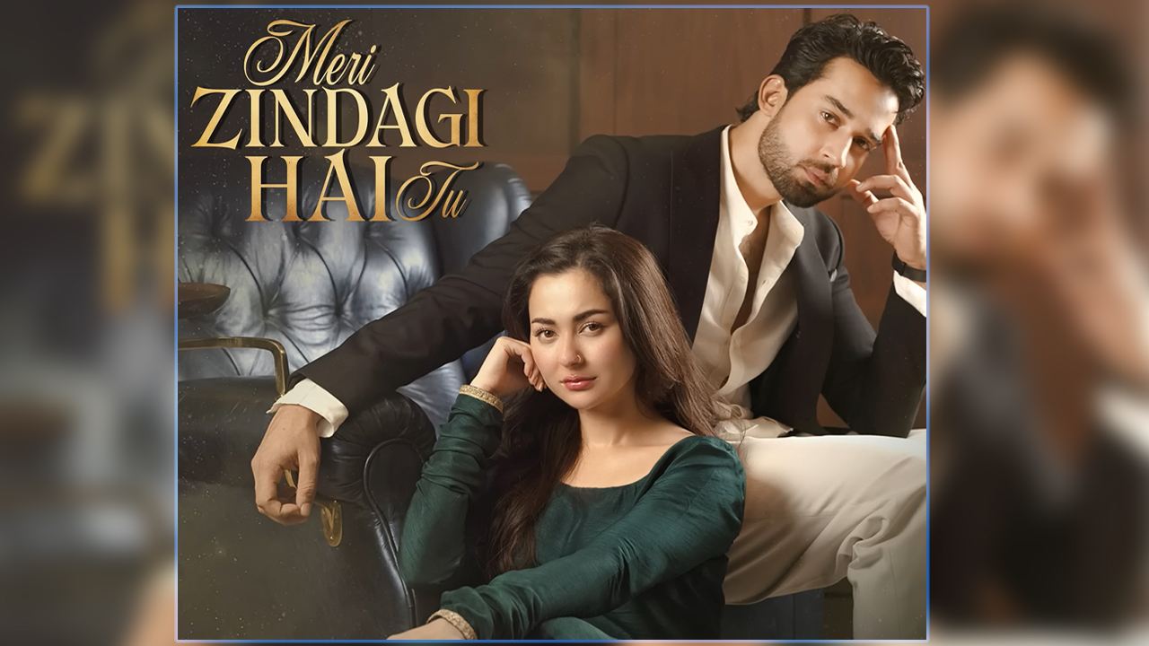 ‘মেরি জিন্দেগি হে তু’ গানে মেতেছে নেটিজেনরা