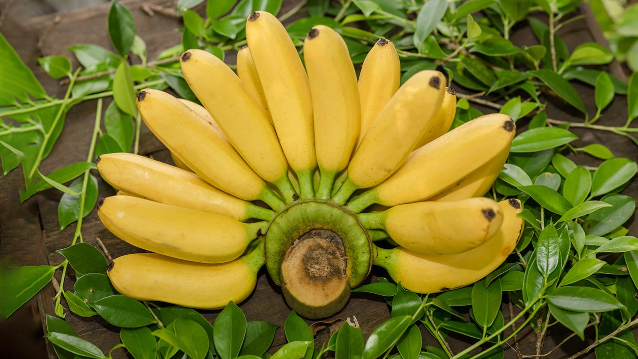 প্রতিদিন কতগুলো কলা খাওয়া যাবে?