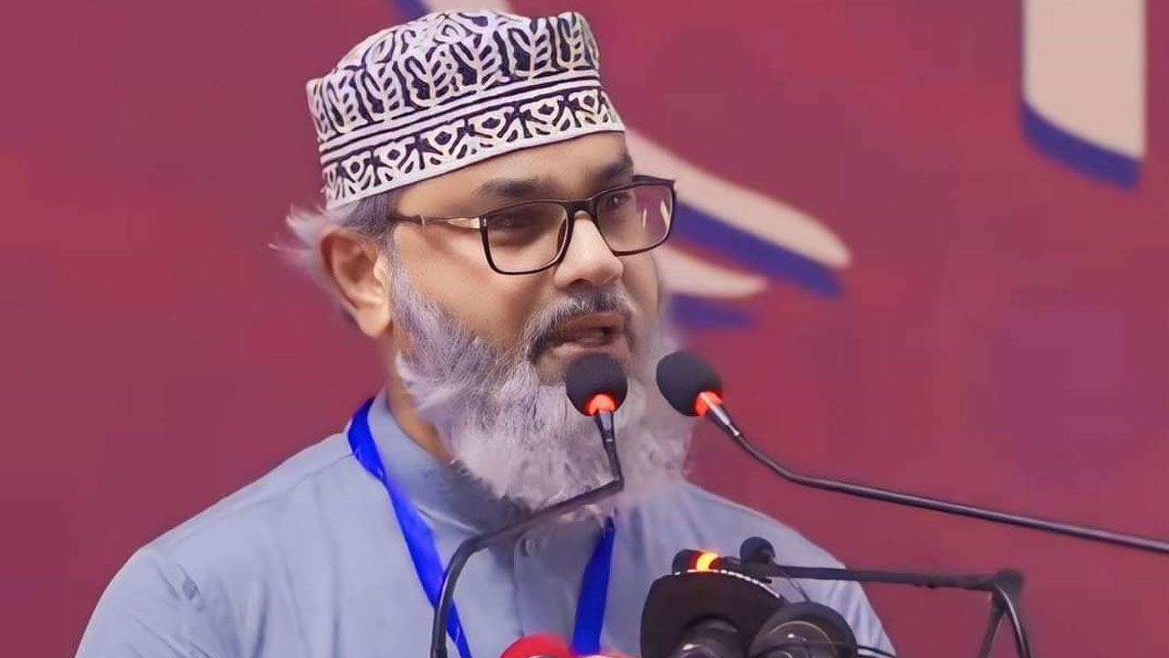 নির্বাচনী হলফনামায় যে তথ্য দিলেন মাসুদ সাঈদী