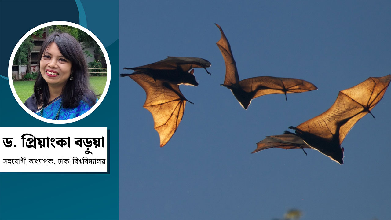 স্তন্যপায়ীদের মধ্যে বাদুড়ই কি একমাত্র ভাইরাস বহন করে?