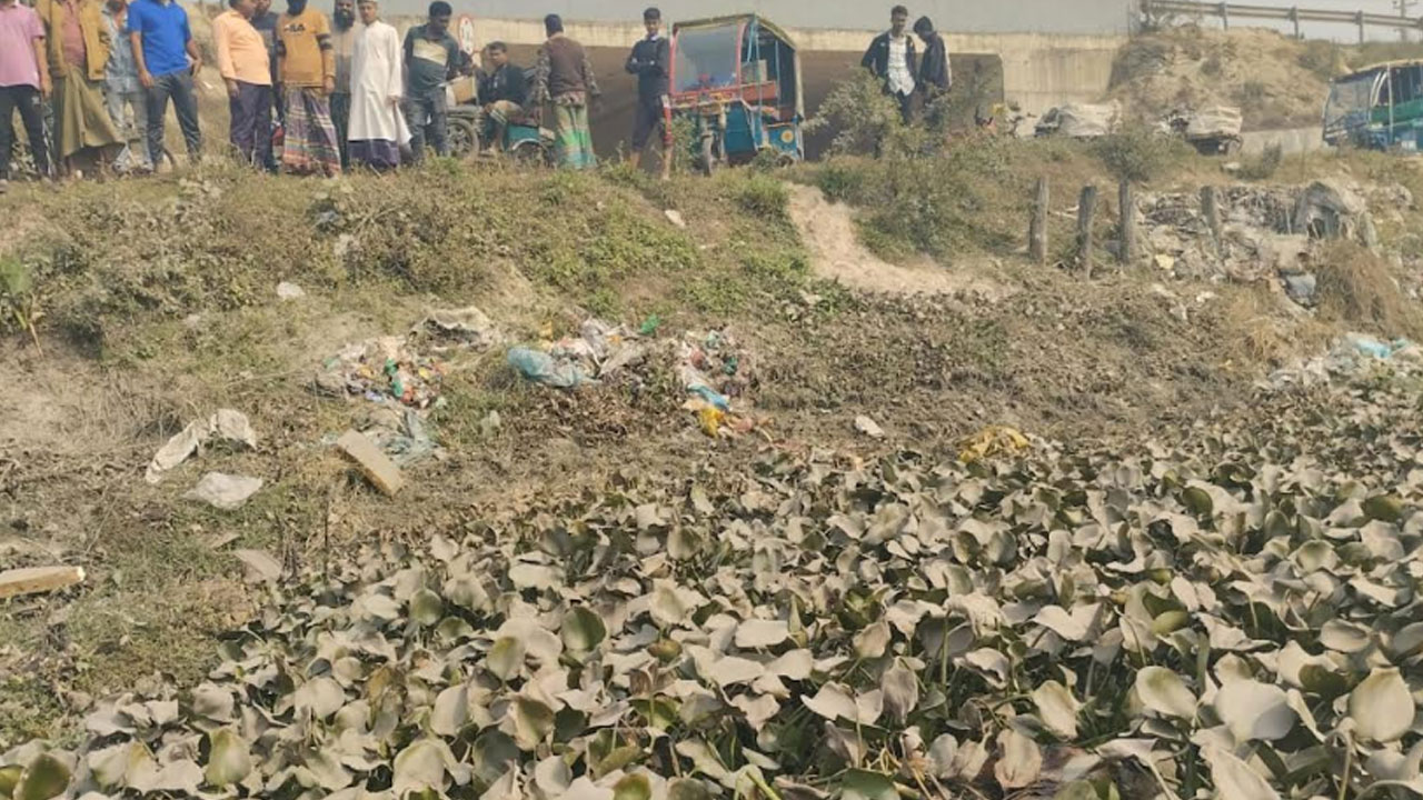 ধামরাইয়ের ডোবায় মিলল যুবকের অর্ধগলিত মরদেহ