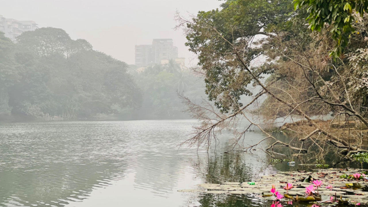 ঢাকায় সকালের তাপমাত্রা ১২ ডিগ্রি