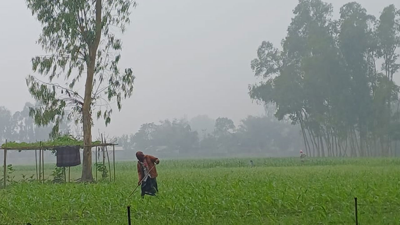 মাঘের আগেই ‘বাঘ কাঁপানো’ শীত, ১২ জানুয়ারি পর্যন্ত সতর্কতা