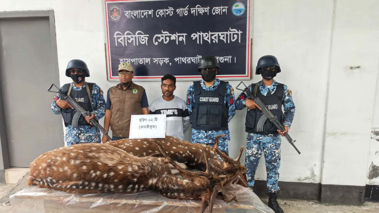 বরগুনায় ফাঁদসহ জবাই করা দুটি হরিণ উদ্ধার