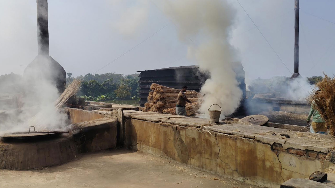 কার্বন কারখানার ধোঁয়ায় ঢেকে গেছে গ্রাম, ক্ষতির মুখে কৃষি ও পরিবেশ