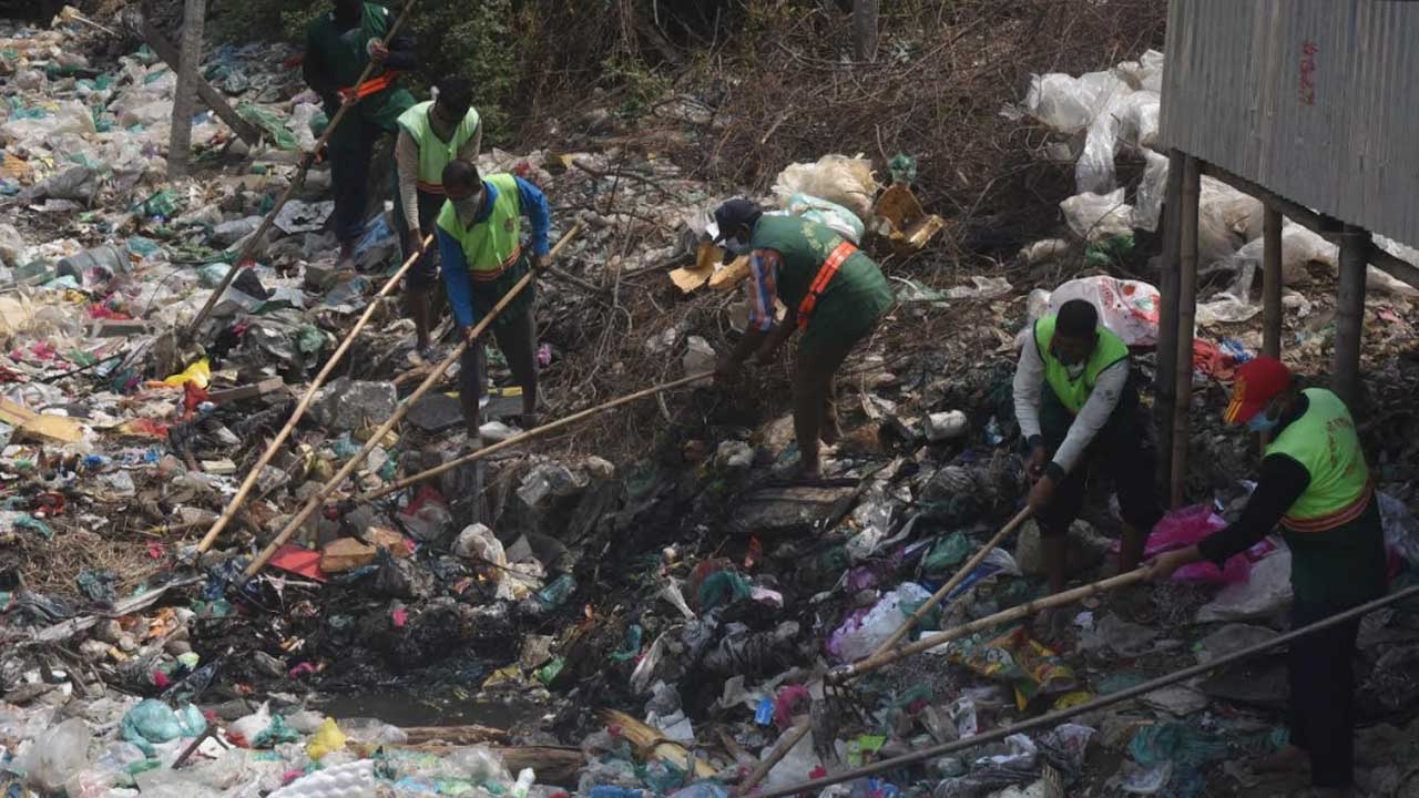 মশক নিধনে ডিএসসিসির ক্রাশ প্রোগ্রাম, থাকছে চার স্তরের তদারকি ব্যবস্থা