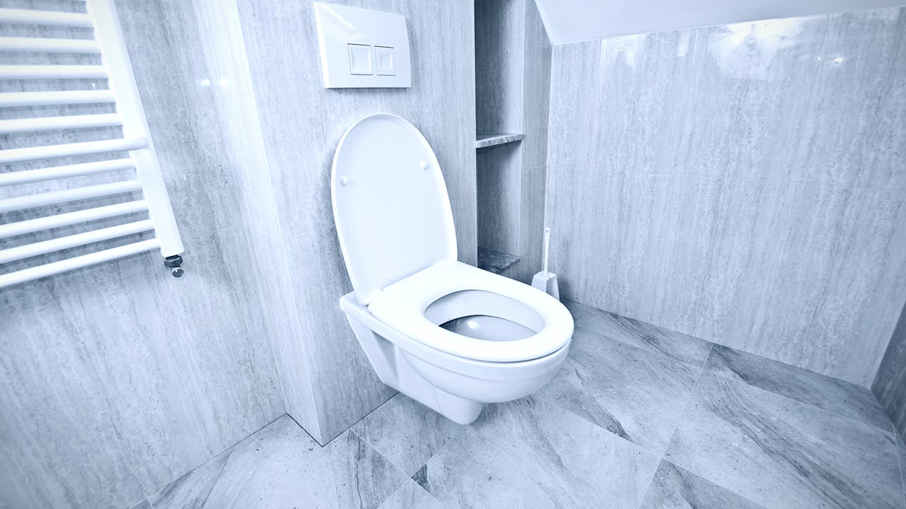 টয়লেটের দুর্গন্ধ দ্রুত দূর করার ৫ উপায়