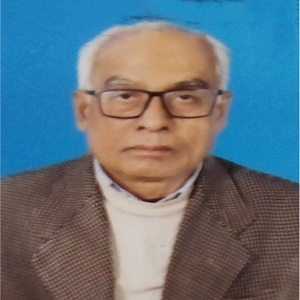 মো. আনোয়ার হোসেন