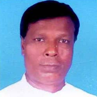 মো. শাহিনুর ইসলাম