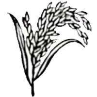 বাংলাদেশ জাতীয়তাবাদী দল - বিএনপি